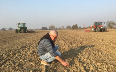 ”LA MINIMA LAVORAZIONE E’ UN GRAN SUCCESSO AGRONOMICO ED ECONOMICO”