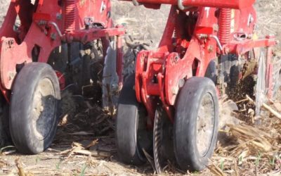 COME FARE STRIP-TILL PER PIÙ’ ANNI, CON O SENZA COVER CROPS