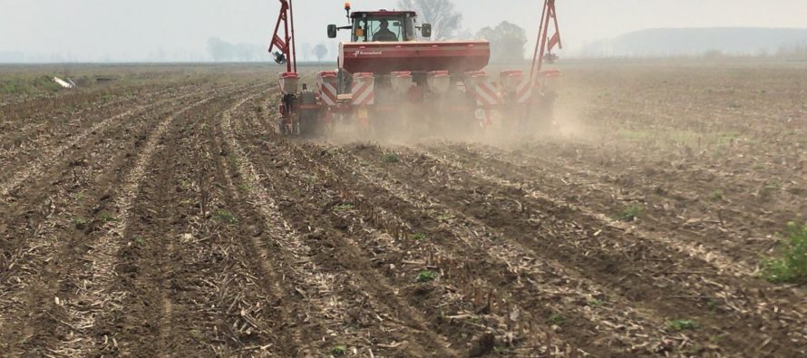 STRIP-TILL E DOSE VARIABILE DI SEME E CONCIME, LA STRATEGIA VINCENTE PER IL MAIS